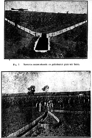 30921-grasshopper-control