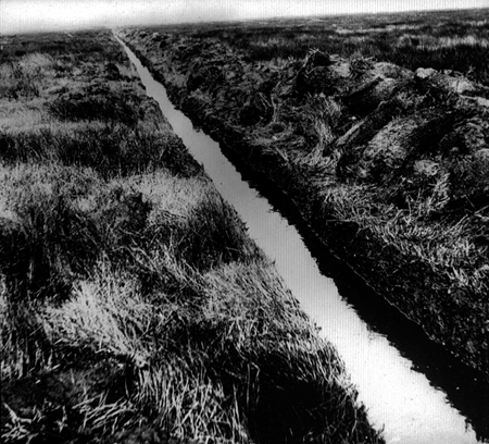 31355-drainage-ditch