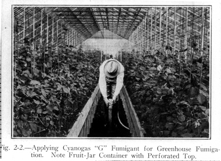 31365-greenhouse-fumigatio