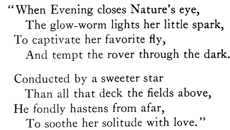 33013-poem_glow-worm