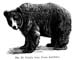 32759-grizzly-bear