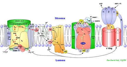 electron transfer figure