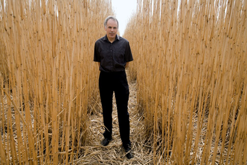 Miscanthus grass figure