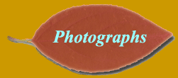 Photographs