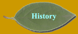 History