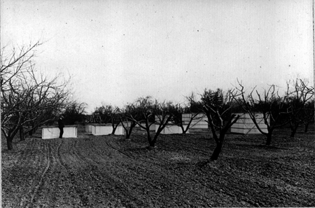 31327-cultivation-to-destr