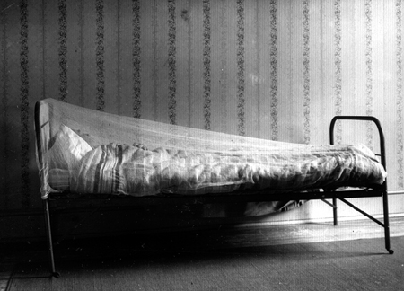 31357-mosquito-bar-on-bed