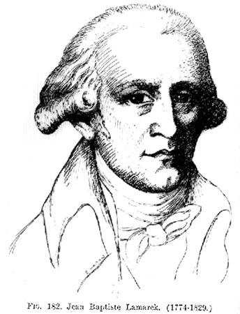 32541-j.b.-lamarck
