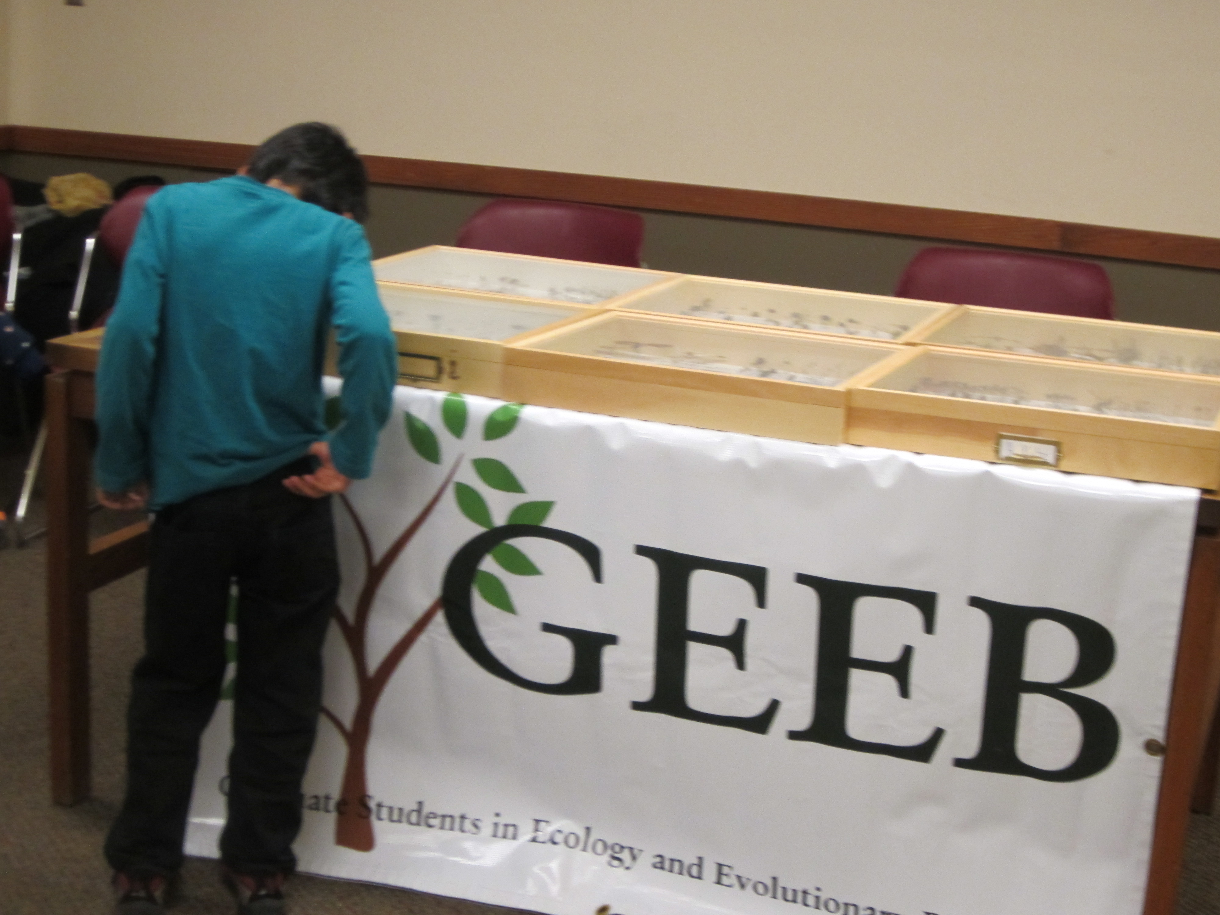 GEEB 003