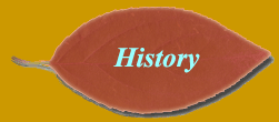 History