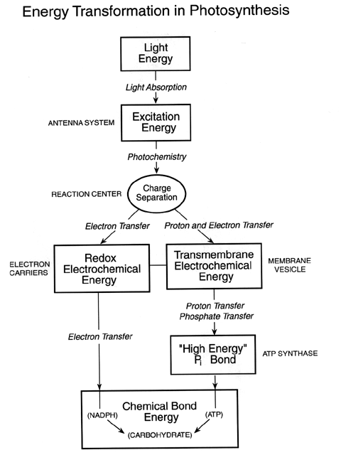 What are six types of energy?