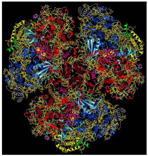 PSI X-ray crystallography