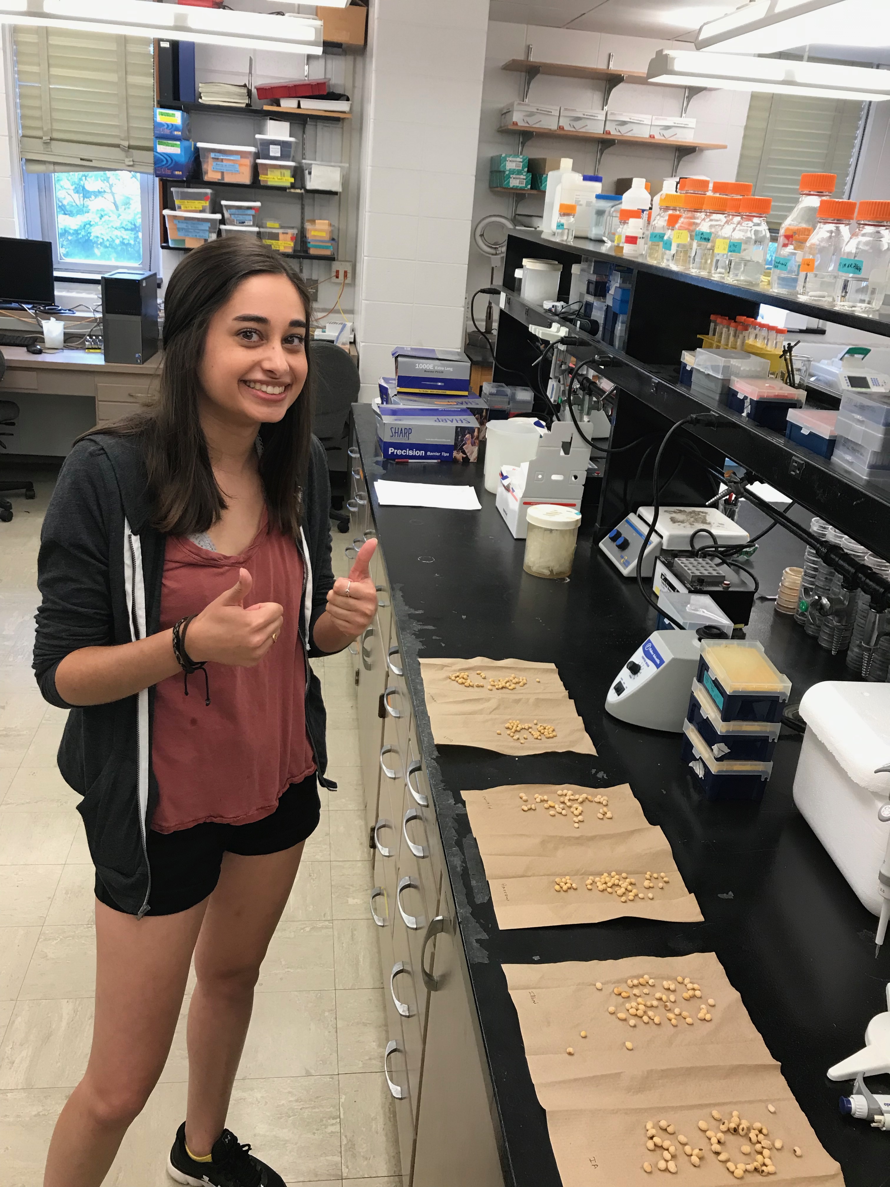 Julia is ready with soybean genotypes, both modern and historic!