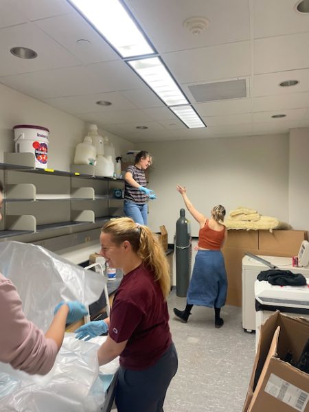 Prep room cleanup day! – Heath Lab