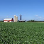 soybean-farmscape-kbs_-lter_-0001