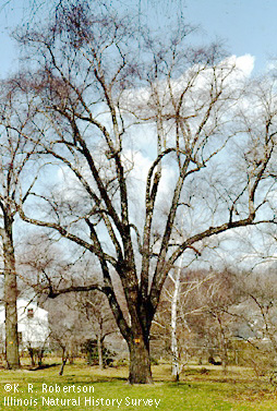 [FMP-field: image]