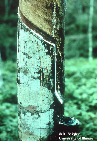 [FMP-field: image]