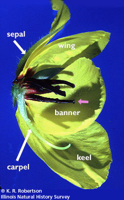 [FMP-field: image]