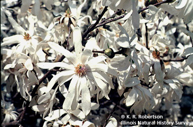 [FMP-field: image]