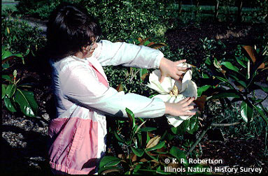 [FMP-field: image]