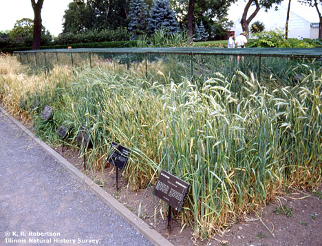 [FMP-field: image]
