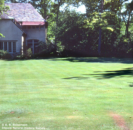 [FMP-field: image]