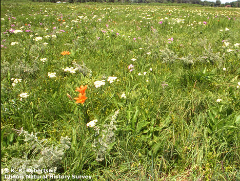 [FMP-field: image]