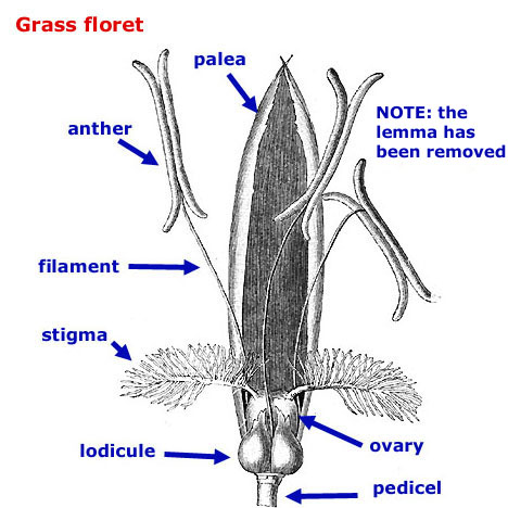 [FMP-field: image]