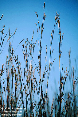 [FMP-field: image]