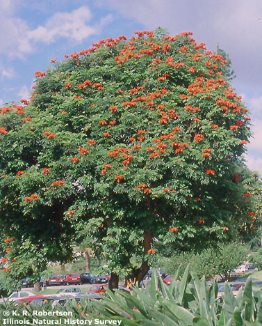 [FMP-field: image]