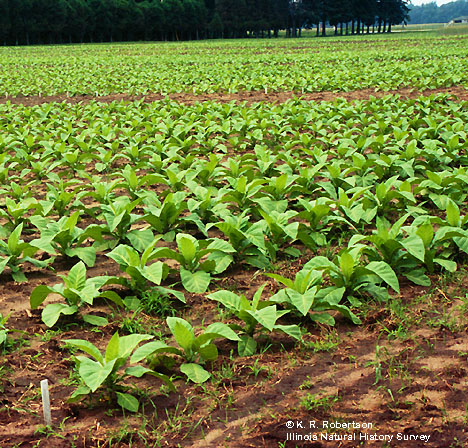 [FMP-field: image]