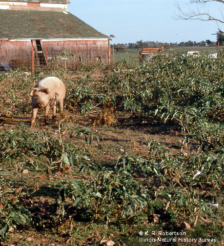 [FMP-field: image]