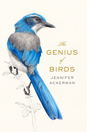Genius of Birds